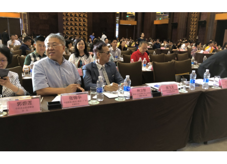 广佛肇分部主席林卫智代表出席